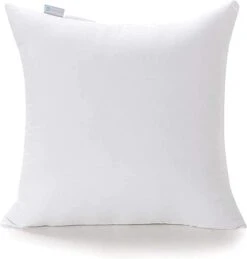 Acanva 20 X 20 Premium Polyester Stuffer Square Form Sham Throw Pillow Inserts, 4 Count (Pack Of 1), White -GENERIC Shop 21 icMKmTsL. AC 1