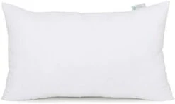 Acanva Decorative Square Throw Pillow Inserts Hypoallergenic Form Stuffer Cushion Sham Filler, 1 Count (Pack Of 1), White -GENERIC Shop 212QDgSeSlL. AC 1