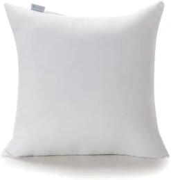 Acanva 20 X 20 Premium Polyester Stuffer Square Form Sham Throw Pillow Inserts, 4 Count (Pack Of 1), White -GENERIC Shop 21A70D7fqJL. AC