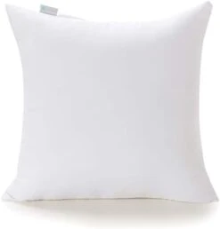 Acanva Decorative Square Throw Pillow Inserts Hypoallergenic Form Stuffer Cushion Sham Filler, 1 Count (Pack Of 1), White -GENERIC Shop 21aBKB53bL. AC 1