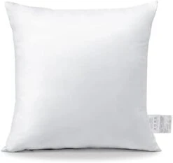 OTOSTAR Pack Of 2 Throw Pillow Inserts, 18 X 18 Square Cushion Inner Soft Fluffy Plump Stuffer Cushion Pads White Decorative Pillow Inserts -GENERIC Shop 311CqWDxVxL. AC