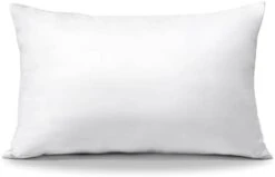 OTOSTAR Pack Of 2 Throw Pillow Inserts, 18 X 18 Square Cushion Inner Soft Fluffy Plump Stuffer Cushion Pads White Decorative Pillow Inserts -GENERIC Shop 3157tcHZxYL. AC