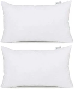 Acanva Down Alternative Throw Pillow Insert Hypoallergenic Rectangle Soft Form Stuffer Decorative Cushion Sham Filler, 2 Count (Pack Of 1), White -GENERIC Shop 31C81zXzofL. AC