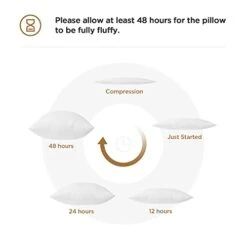 Acanva Decorative Square Throw Pillow Inserts Hypoallergenic Form Stuffer Cushion Sham Filler, 1 Count (Pack Of 1), White -GENERIC Shop 31JbZw5QXPL