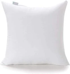 Acanva 20 X 20 Premium Polyester Stuffer Square Form Sham Throw Pillow Inserts, 4 Count (Pack Of 1), White -GENERIC Shop 31a5whNnagL. AC 1