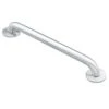 Moen 8718 Home 18-Inch Bathroom Grab Bar, Stainless