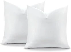 OTOSTAR Pack Of 2 Down And Feather Throw Pillow Inserts, 28 X 28 Soft Fluffy Square Pillow Inserts With 100% Cotton Cover Decorative Pillows For Sofa Couch Bed-White -GENERIC Shop 31i3g RlDfL. AC 5