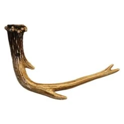 Antler Home Accessories
