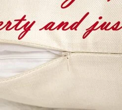 4th Of July Lumbar Pillow Cover 12x20 Independence Day Decor The Pledge Of Allegiance Patriotic Saying Memorial Day Holiday Decorations Throw Cushion Case For Home Sofa Couch Polyester Linen TH113 -GENERIC Shop 511crGnbtdL