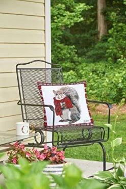 C&F Home Plaid Squirrel With Scarf Premium Indoor/Outdoor Pillow Christmas Patio Decor Decoration Accent Throw Pillow 18 X 18 Multi Color -GENERIC Shop 516avDoWCwL