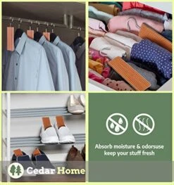 Cedar Hyde Cedar Blocks For Clothes Storage | Cedar Hang Ups & Cedar Balls | Clothes Protection & Deodorizer | 22 Pieces, 12 Cedar Hang Ups & Bonus 10 Cedar Balls | U.S.A Seller 6 Cedar Hyde Cedar Blocks For Clothes Storage | Cedar Hang Ups & Cedar Balls | Clothes Protection & Deodorizer | 22 Pieces, 12 Cedar Hang Ups & Bonus 10 Cedar Balls | U.S.A Seller -GENERIC Shop 51EShPqx35L