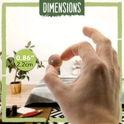 EcoKiwi Cedar Blocks For Clothes Storage - 75 Pack Cedar Balls - Natural Oil Hanger Planks & Chips For Closets - Non Toxic Cedarwood Balls With Sandpaper - Drawer Air Freshener Protection & Control 9 EcoKiwi Cedar Blocks For Clothes Storage - 75 Pack Cedar Balls - Natural Oil Hanger Planks & Chips For Closets - Non Toxic Cedarwood Balls With Sandpaper - Drawer Air Freshener Protection & Control -GENERIC Shop 51EftlaIOGL