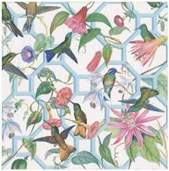 Hummingbird Trellis Paper Cocktail Napkins - 20 Per Package -GENERIC Shop 51FfyozT4QL. AC
