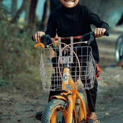 Alipis 1pc Off Mesh Bicycles Silver Lid Frame Road Front Replacement Mountain Folding Collapsible In Iron Rack Baskets Cruisers Back With Accessory Hanging Lift Handlebar Bike Container 8 Alipis 1pc Off Mesh Bicycles Silver Lid Frame Road Front Replacement Mountain Folding Collapsible In Iron Rack Baskets Cruisers Back With Accessory Hanging Lift Handlebar Bike Container -GENERIC Shop 51MYMXh06rL