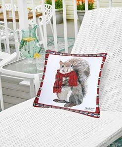 C&F Home Plaid Squirrel With Scarf Premium Indoor/Outdoor Pillow Christmas Patio Decor Decoration Accent Throw Pillow 18 X 18 Multi Color -GENERIC Shop 51YPRnKnpvL