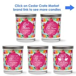 Crazy Cat Lady Candle - Cute Cat Candle For Crazy Cat Ladies Gifts For Women, Retirement Gifts For Women Cat, Funny Birthday Gifts For Her, Cat Gifts For Cat Lovers, Cat Mom, Best Cat Mom Ever