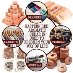 Cedar Sense - Cedar Variety 70 Pack - 40 Cedar Balls - 26 Cedar Rings - 2 Cedar Hang-Ups - 2 Sachets - Cedar Blocks For Clothes Storage - Made In America! - Cedar Blocks - Cedar Closet Home 12 Cedar Sense - Cedar Variety 70 Pack - 40 Cedar Balls - 26 Cedar Rings - 2 Cedar Hang-Ups - 2 Sachets - Cedar Blocks For Clothes Storage - Made In America! - Cedar Blocks - Cedar Closet Home -GENERIC Shop 61VasTmbDDS